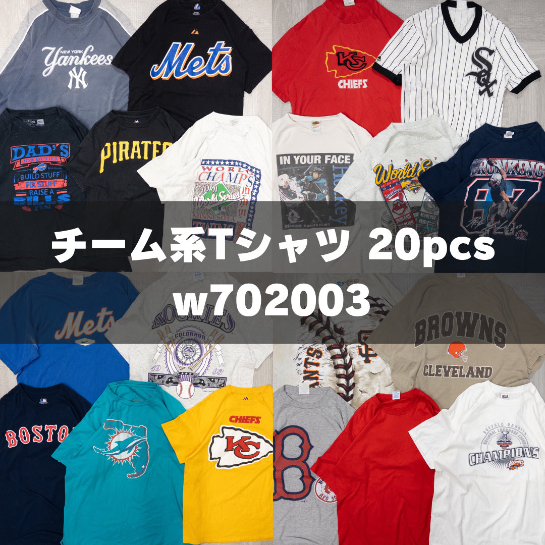 古着卸 現物まとめ売り 洗濯済み NFL MLB NHL オフィシャルチーム系 半袖Tシャツ 17枚セット(L-XXL) w702003