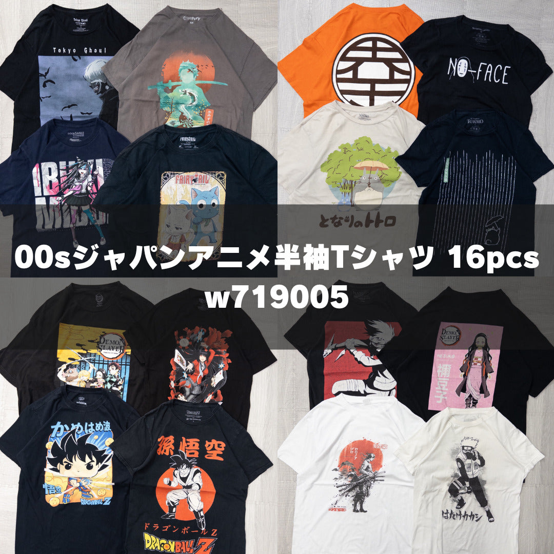 Used clothing wholesale, bulk sale, washed, 16-piece set of 2000s Japan anime short-sleeved T-shirts (XS-XXL) w719005