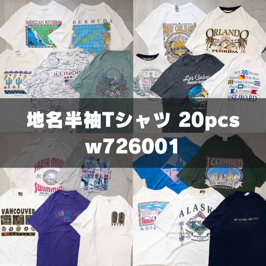 Wholesale Used Clothing, Bulk Sale, Washed, 20-Piece Set of 00s-90s Place Name Short Sleeve T-Shirts (M-XXL) w726001