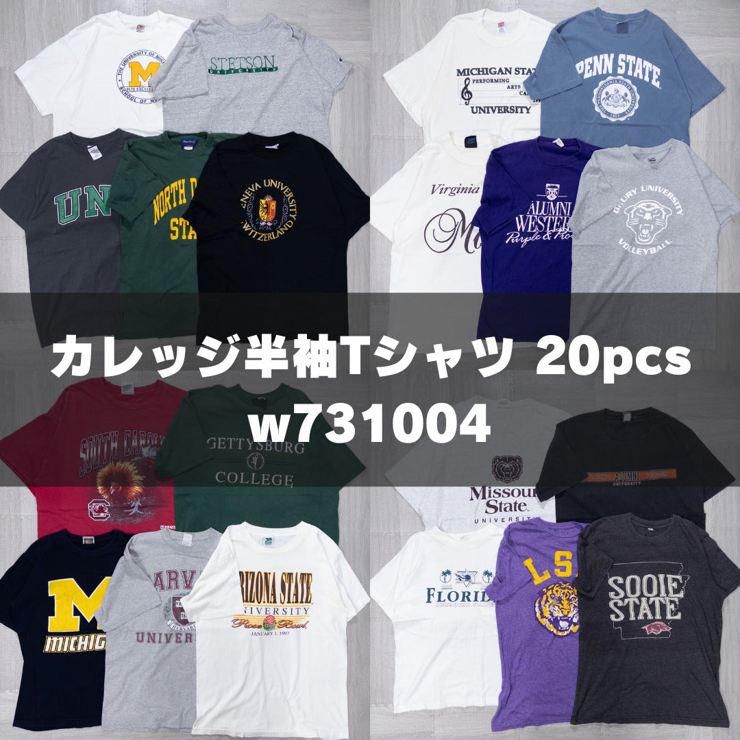 Used Clothing Wholesaler, Bulk Sale, Washed College Short Sleeve T-Shirts, Set of 20 (S-XL) w731004