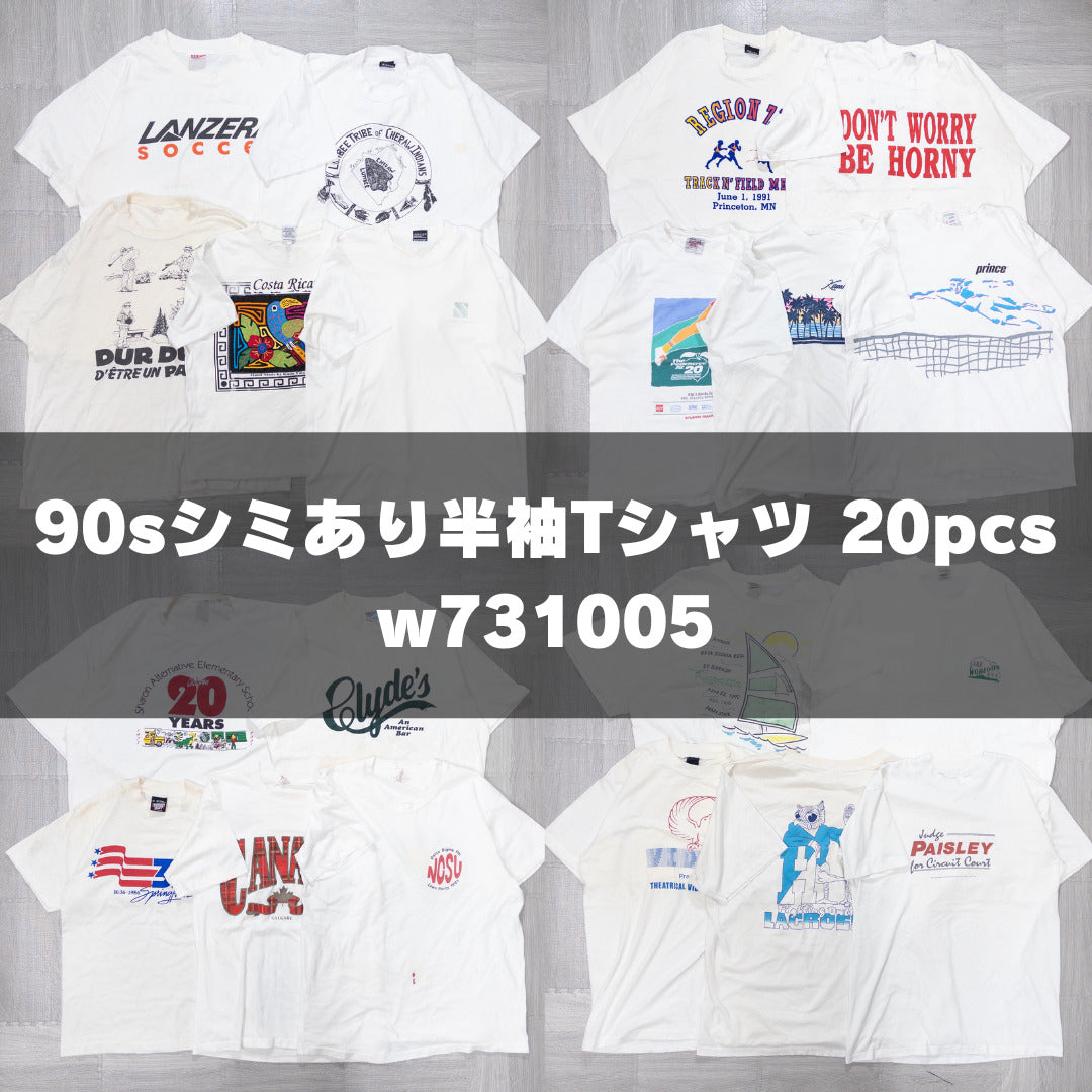 Wholesale Used Clothing, Bulk Sale, Washed, 90s Stained Short Sleeve T-Shirts, Set of 20 (M-XXL) w731005