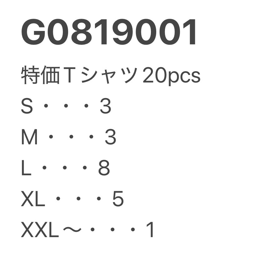 [現物] 特価Tシャツ 20pcs G0819001