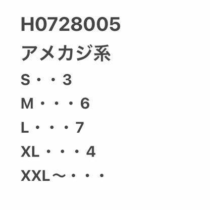 [現物] アメカジTシャツ 20pcs H0728005
