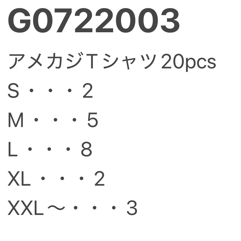 [現物] アメカジTシャツ 20pcs G0722003