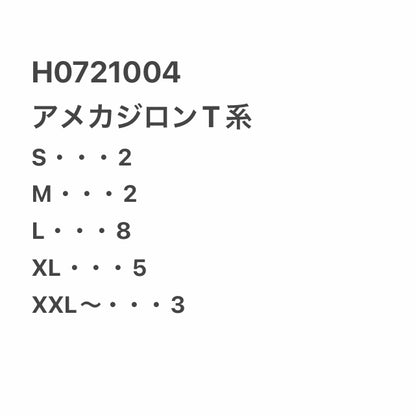 [現物] アメカジロンT 20pcs H0721004