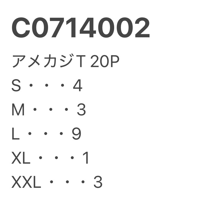 [現物] 00s アメカジプリントTシャツ 20pcs C0714002