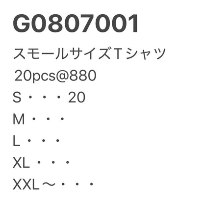 [現物] スモールサイズTシャツ 20pcs G0807001