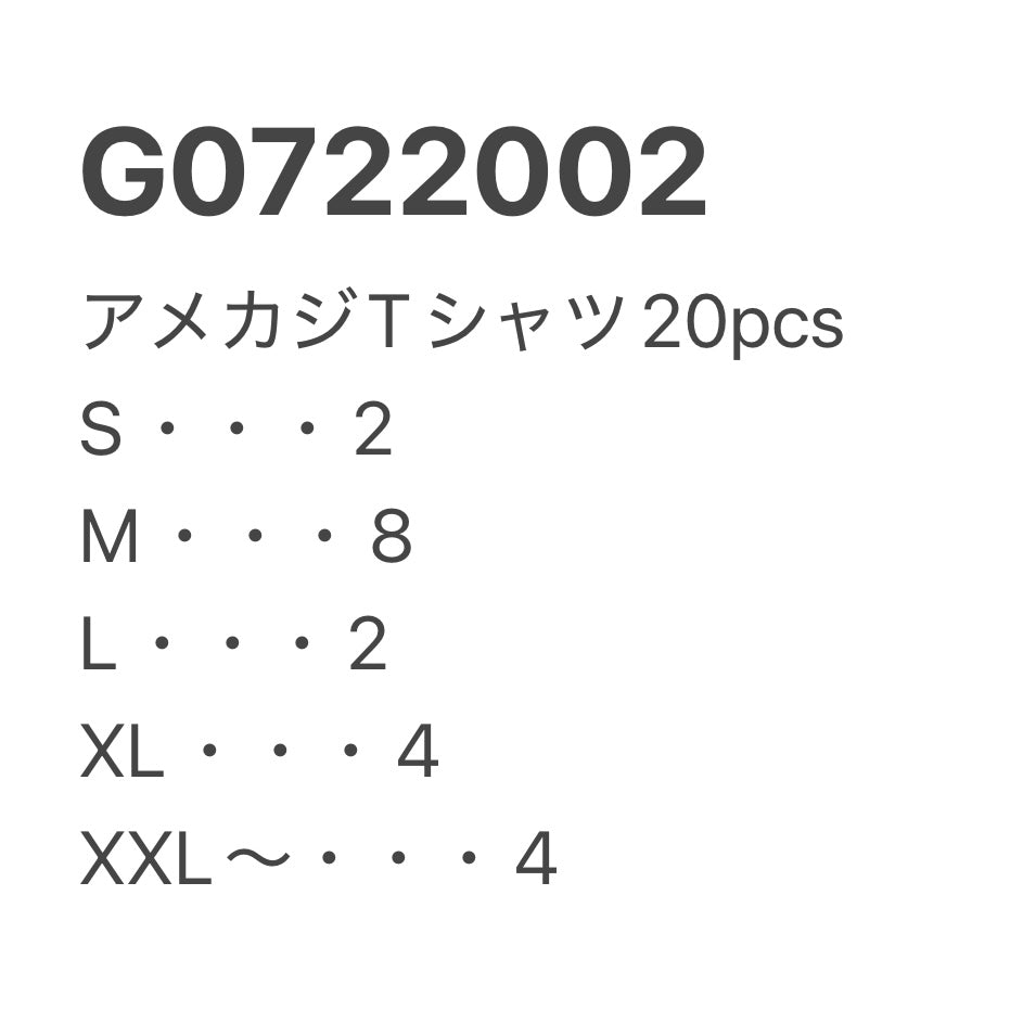 [現物] アメカジTシャツ 20pcs G0722002