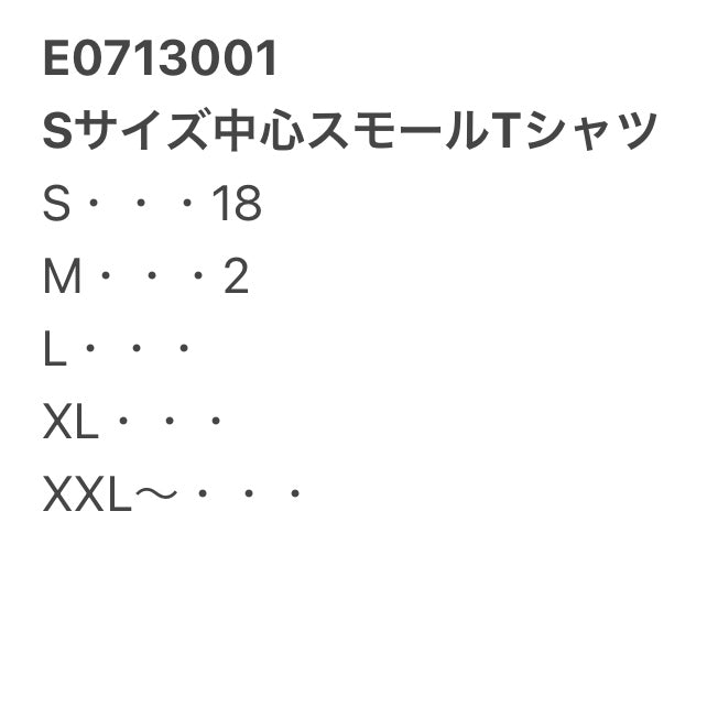 [現物] 00s スモールサイズTシャツ 20pcs E0713001