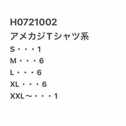 [現物] アメカジTシャツ 20pcs H0721002