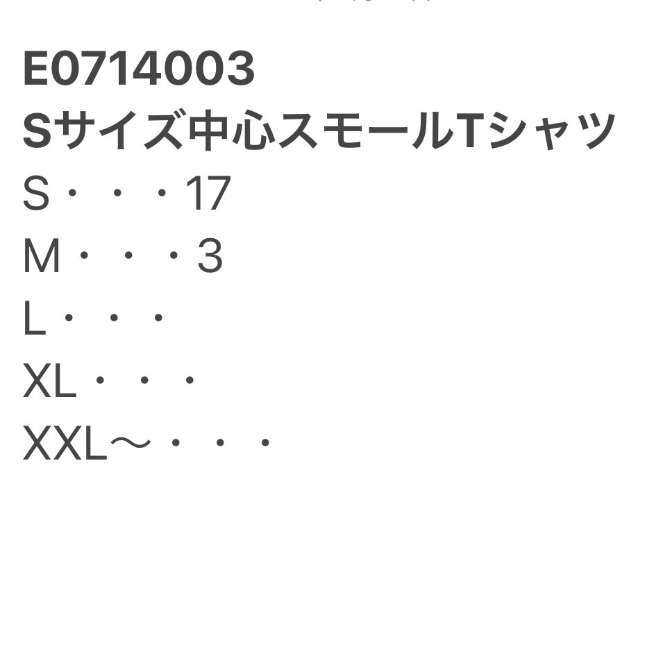 [現物] 00s スモールサイズTシャツ 20pcs E0714003