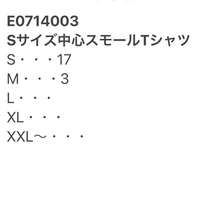 [現物] 00s スモールサイズTシャツ 20pcs E0714003