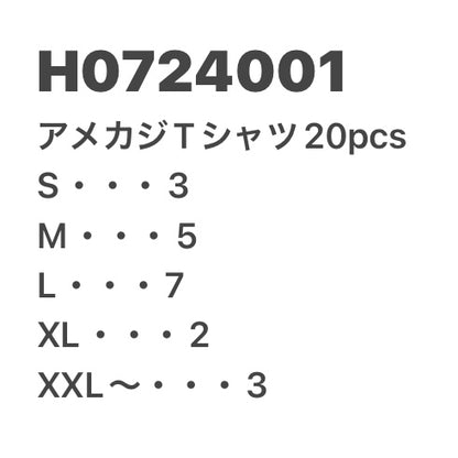 [現物] アメカジTシャツ 20pcs H0724001