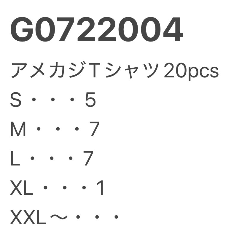 [現物] アメカジTシャツ 20pcs G0722004
