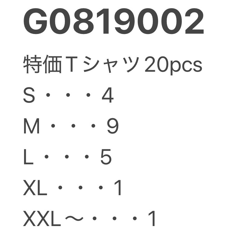 [現物] 特価Tシャツ 20pcs G0819002