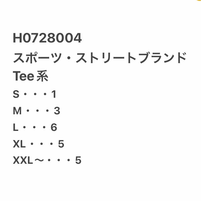 [現物] アメカジブランドTシャツ 20pcs H0728004