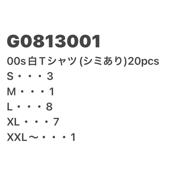 [現物] 00s 白Tシャツ(シミあり) 20pcs G0813001