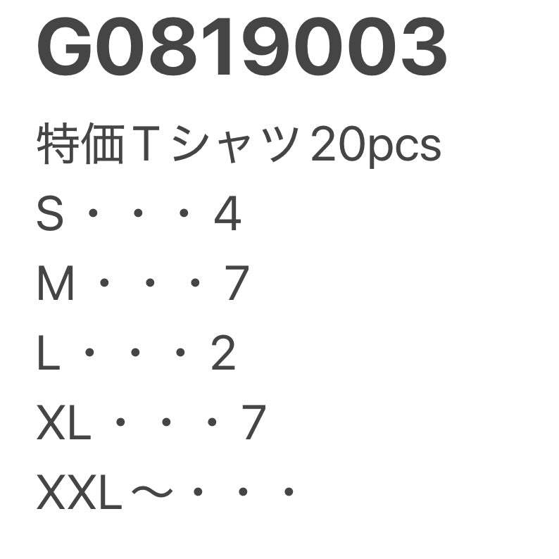 [現物] 特価Tシャツ 20pcs G0819003