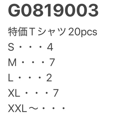 [現物] 特価Tシャツ 20pcs G0819003