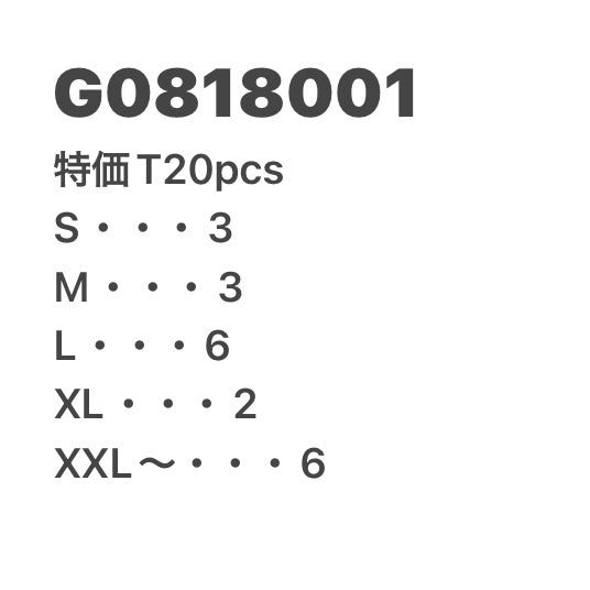 [現物] 特価Tシャツ 20pcs G0818001