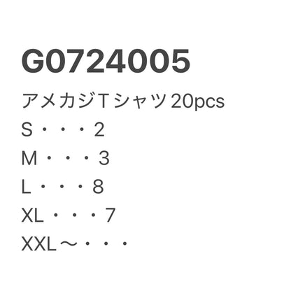 [現物] アメカジTシャツ 20pcs G0724005