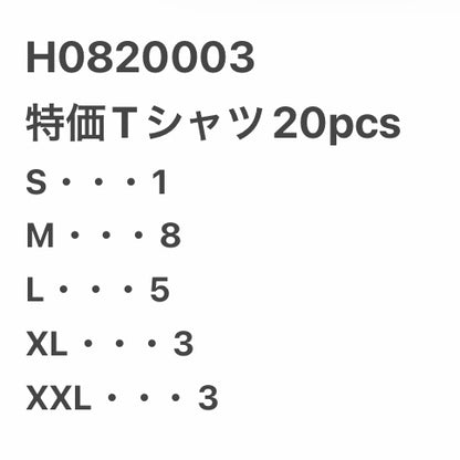 [現物] 特価Tシャツ 20pcs H0820003