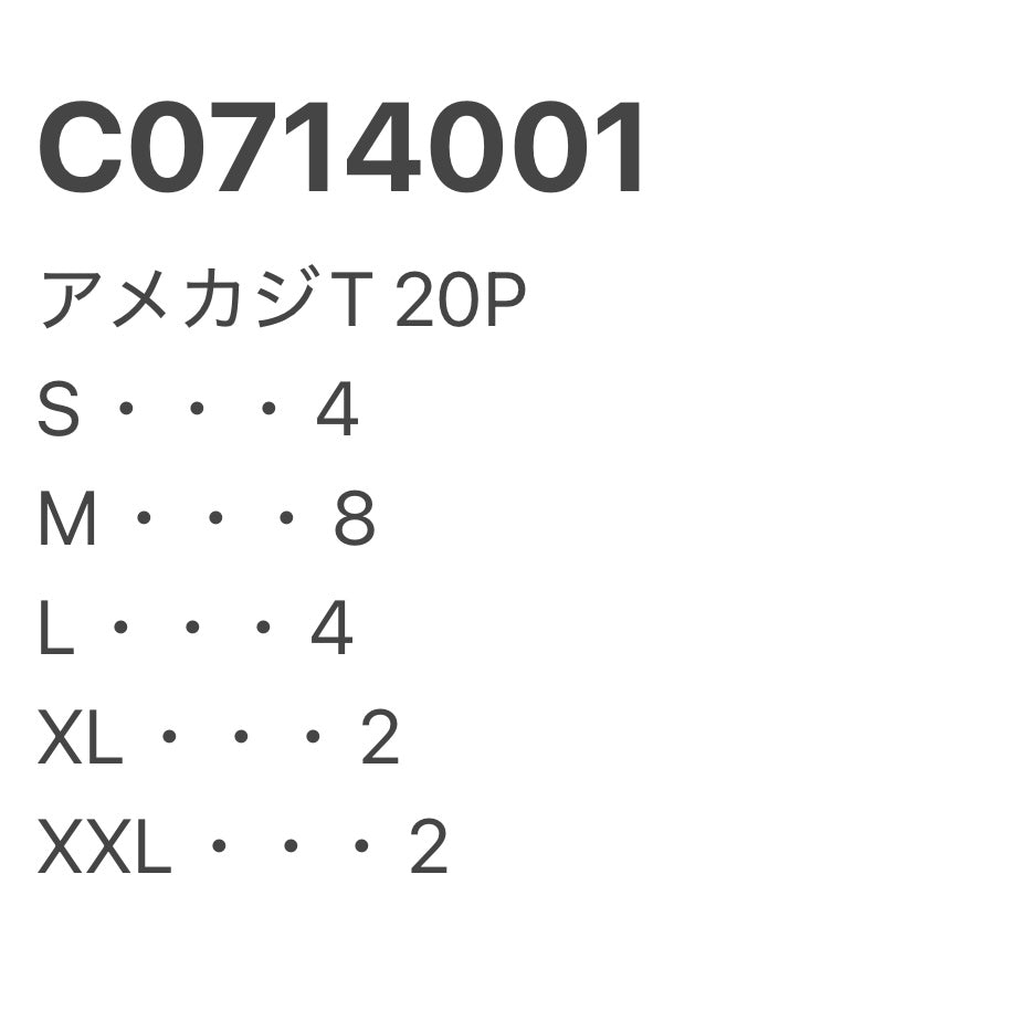 [現物] 00s アメカジプリントTシャツ 20pcs C0714001