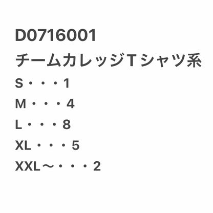 [現物] チームカレッジ系Tシャツ 20pcs D0716001