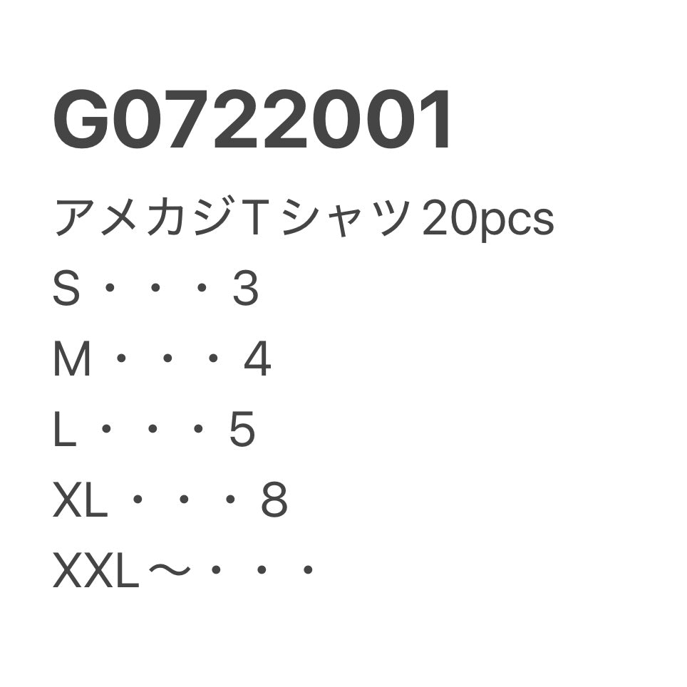 [現物] アメカジTシャツ 20pcs G0722001