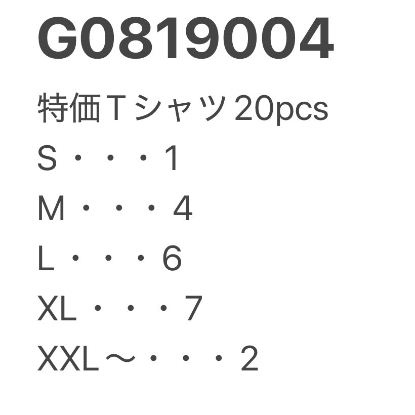 [現物] 特価Tシャツ 20pcs G0819004
