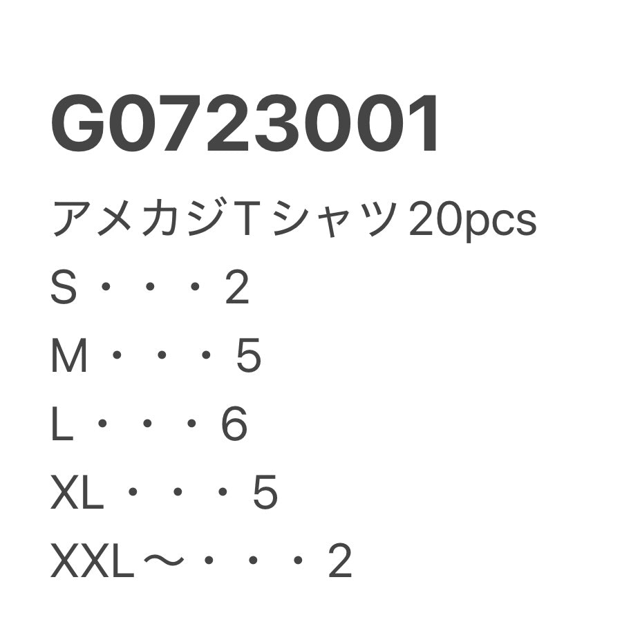 [現物] アメカジTシャツ 20pcs G0723001