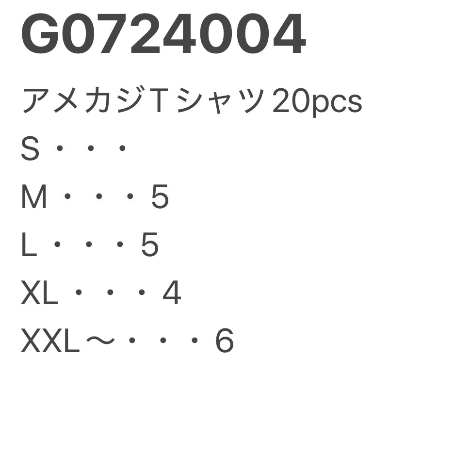 [現物] アメカジTシャツ 20pcs G0724004