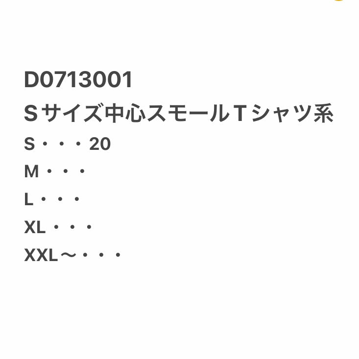 [現物] USスモールサイズTシャツ 20pcs D0713001