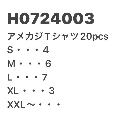 [現物] アメカジTシャツ 20pcs H0724003
