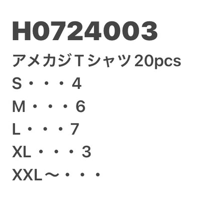 [現物] アメカジTシャツ 20pcs H0724003