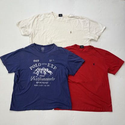 古着卸 現物まとめ売り 洗濯済み ラルフローレン 半袖Tシャツ 11枚セット(S-XXL)