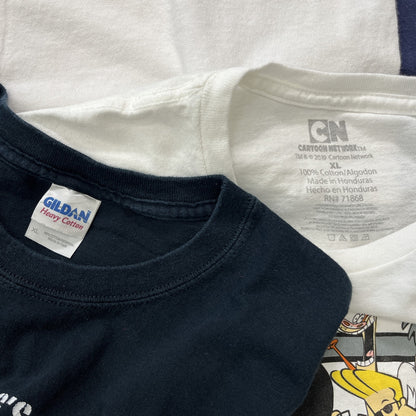 古着卸 現物まとめ売り 洗濯済み USアニメキャラ 半袖Tシャツ 10枚セット(S-XL)