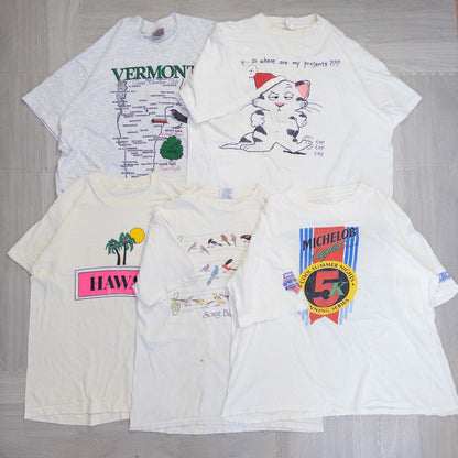 古着卸 現物まとめ売り 洗濯済み 90s 白、グレー半袖Tシャツ 20枚セット(S-XXL) w624001