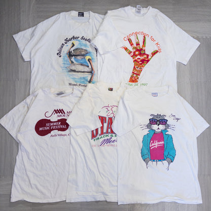古着卸 現物まとめ売り 洗濯済み 90s 白、グレー半袖Tシャツ 20枚セット(S-XXL) w624001