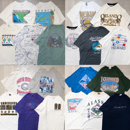 Wholesale Used Clothing, Bulk Sale, Washed, 20-Piece Set of 00s-90s Place Name Short Sleeve T-Shirts (M-XXL) w726001 