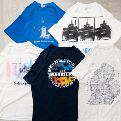 Used clothing wholesale, bulk sale, washed, 20-piece set of 00s-90s place name short-sleeved T-shirts (M-XXL) w726002 