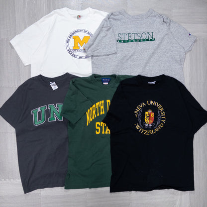 Used Clothing Wholesaler, Bulk Sale, Washed College Short Sleeve T-Shirts, Set of 20 (S-XL) w731004 