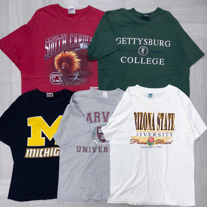 Used Clothing Wholesaler, Bulk Sale, Washed College Short Sleeve T-Shirts, Set of 20 (S-XL) w731004 